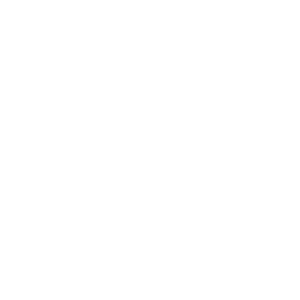Führerscheinklasse B196: PKW & A1