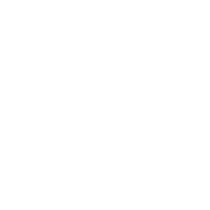 Führerscheinklasse D1E: Bus mit Anhänger